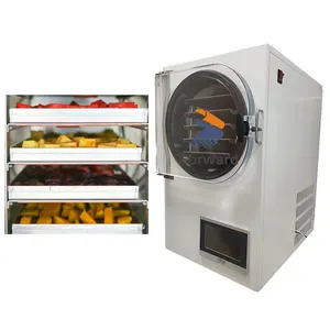 Secador de vacío de máquina de secado por congelación al vacío de frutas y verduras a precio de fábrica con bomba de vacío