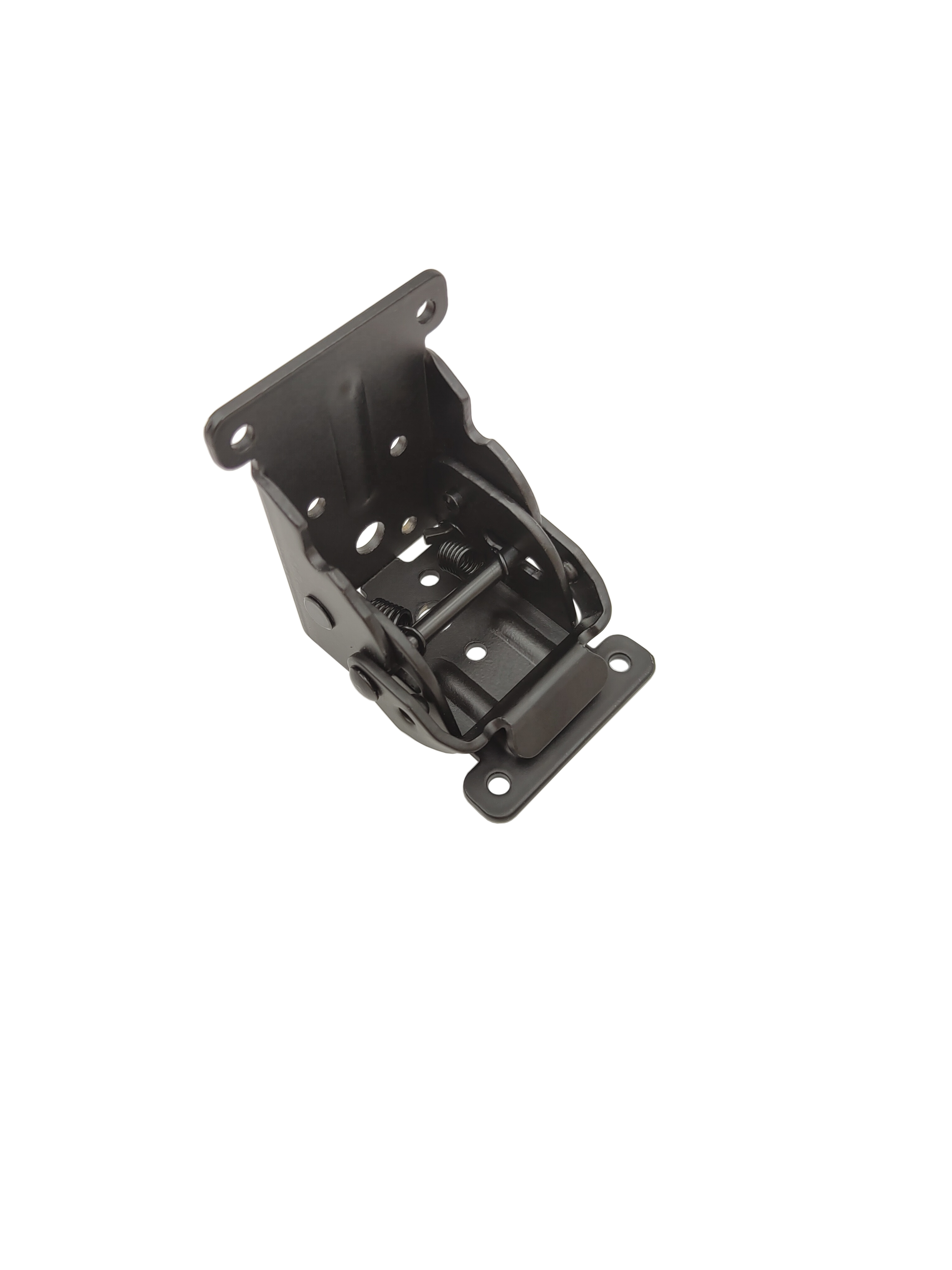 อิเล็กโทรโฟรีซิสสีดำ