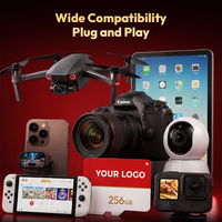 Kartu Memori Mini TF SD 32GB 64GB 128GB 256GB 512GB Kelas10 U3 V30 A1 Kecepatan Tinggi untuk Drone Kamera Keamanan DVR CCTV Cam GPS