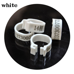 Anillos Ajustables para Patas de Pollo, Anillos de Plástico con Hebilla para Patas de Aves, Anillos Digitales para Patas de Pato y Ganso - Product Image 6