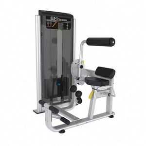 Fitness Back Muscle <b>Trainer</b> Arms Stretch Sit Power <b>Weight</b> Pile Plus Gluteal Ham Bench Strength Equipment Eco-friendly Black - Product Image 2