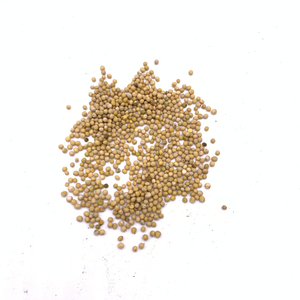 Hot bán số lượng lớn Top Grade tự nhiên khô vàng mù tạt cho dầu - Product Image 5