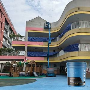 High Performance Aesthetic Silicone Rubber Liquid Exterior Wall Waterproof Coating Easy-to-Apply ECOELF W813 - Product Image 6