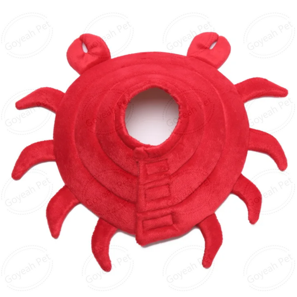 Crabe rouge