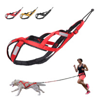 Harnais de traction pour chien en nylon robuste, imperméable, personnalisé, réfléchissant, réglable et rembourré pour grands chiens, entraînement, course, ski