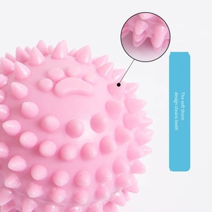 Çok renkli <span class=keywords><strong>TPR</strong></span> ev hayvanı ip oyuncağı düğümlü halatlar çiğnemek için Spiky topları eğitim interaktif çalma süresi - Product Image 4