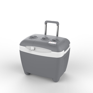 2020 50L camping electric portable mini plastic ice cooler box