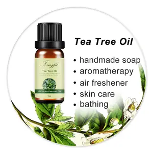 Hot Sell Pure Natural ätherisches öl tee baum