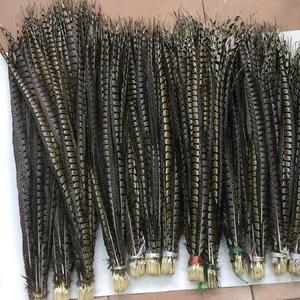 <span class=keywords><strong>Grossiste</strong></span> <span class=keywords><strong>Plumes</strong></span> spéciales Reeves | Offres forfaitaires de remise de volume - Product Image 4