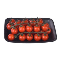 Fabrieks prijs plastic PET vlees schuimtrays zwarte fruit en groente verpakkingen voor supermarkten