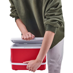 Портативный охладитель для напитков на 6 банок с ручкой, OEM, для продаж и корпоративных подарков от производителей - Product Image 4