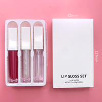 Lot de gloss à lèvres hydratants en format voyage, marque privée, kit de maquillage végétalien de luxe, vente en gros