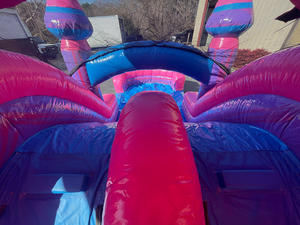 Castillo inflable con tobogán en oferta para alquiler comercial en fiestas al aire libre - Product Image 6