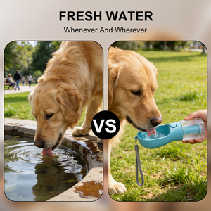 Hot Selling Portable 3-in-1 ABS+PC Feeder Two <b>Food</b> Container Mini Drink Filter Outdoor <b>Pet</b> Water Bottle Trash Bag for Cats Dogs - Product Image 5