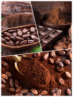 Machine de concassage d'épluchage de fèves de cacao à haute efficacité