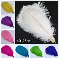 Plumes d'autruche colorées teintées à la main de haute qualité, 15-65 cm, pour la décoration de mariage et de fête