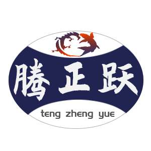 Dongguan Tengzhengyue Plastic Products Co., Ltd. logo