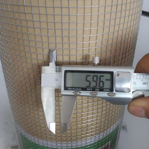 Rouleau de grillage soudé en fil de fer galvanisé à chaud 6 mm en acier à faible teneur en carbone, tissage simple, grillage métallique soudé - Product Image 3