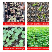 Plateaux de Germination en Plastique à 21/32/50/72/105/128 Cellules pour Semis et Jeunes Plants