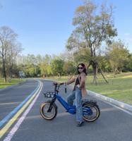 Vélo électrique urbain Mario 250W à suspension intégrale avec cadre en alliage d'aluminium en bleu