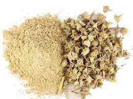 Extracto Puro de Gokhru Tribulus en Polvo, Elaborado para una Fácil Incorporación en Bebidas, Formulaciones Herbales y Polvos Nutricionales - Product Image 3