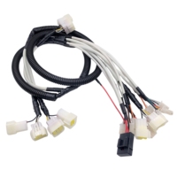 Arnés de Cables Personalizado para Automóviles, Arnés de Cables para Automóviles con Conector MOLEX, Fábrica Certificada IATF 16949
