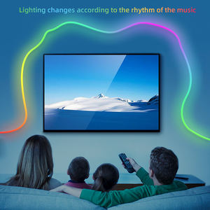 Tira de luces de neón de alto brillo VSS RGB SMD5050 IC 16703 12V tira de LED de neón impermeable decoración luces flexibles - Product Image 6