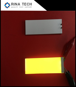 Panneau rétroéclairé en polycarbonate LGP Clarity, épaisseur 12 mm, couleur personnalisable pour écran d'affichage de arrêt de bus, panneau rétroéclairé Rina Tech - Product Image 5