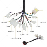 Contrôleur Moteur BLDC Haute Puissance Votol EM260SGTP-CAN-96V pour Moto et Véhicule Électrique Programmables