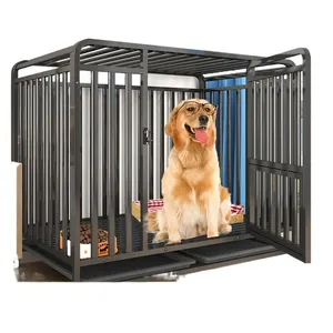 Großhandel mittelgroße Hunde sechsseitige All-Square-Rohr dicken Hunde zaun Indoor Haustier Eisen Hunde käfig