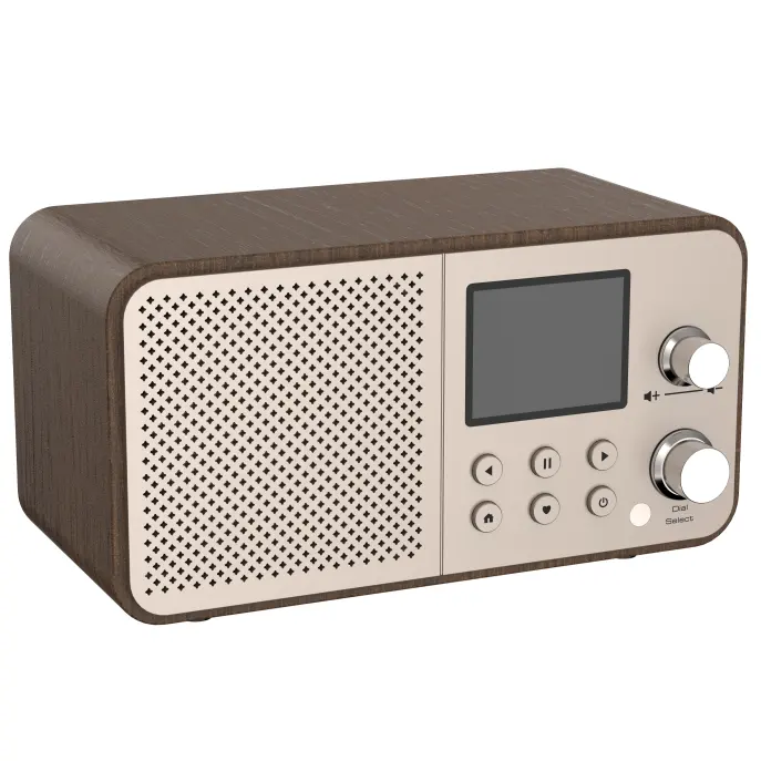 Internet Fm Radio Kit Ontvanger Wifi 18650 Batterij Radio