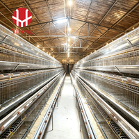 Cage de pontage de type A avec alimentation et abreuvement automatiques, collecte d'œufs, système de fumier OEM, abreuvoir à tétine, galvanisation à chaud pour ferme avicole