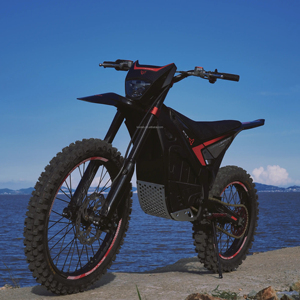 Motocross Leopard EX800 de 19 Pulgadas con Frenos de Disco Hidráulicos Bilaterales de 4 Pistones, 25KW 74V 75AH - Product Image 1