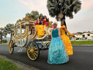 Vente directe usine 2026 : Chariot de mariage royal personnalisé, chariot à chevaux, chariot de transport spécial, chariot électrique de tourisme - Product Image 5