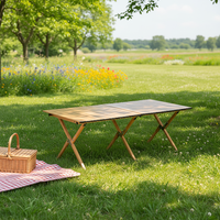 Tables pliantes modernes en métal pour l'extérieur, portables, pour la randonnée, les barbecues, les fêtes, le jardin, les pique-niques, la pêche, le camping, l'entrepôt et les repas