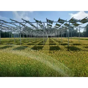 Agricultural Structure Mounting Pv Solar Power Mounting Structure Solar Farm Mounting System Solar Farm System