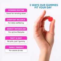Gummies de glycinate de magnésium sans sucre à marque privée OEM, enrichies en vitamines, 400 L-théanine, camomille, mélisse
