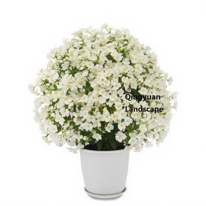 Bouquet de fleurs artificielles en soie au toucher réel, <span class=keywords><strong>iris</strong></span> japonica papillon, pour mariage, <span class=keywords><strong>d</strong></span>écoration de la maison et de fêtes - Product Image 1