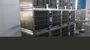 犬猫用獣医ペット病院ケージ304ステンレス鋼ユニークなスライドドアロックデザイン13スクエア病院ケージ - Product Image 4