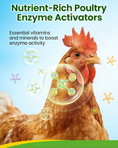 Prémélange naturel sans antibiotiques pour volailles, additif alimentaire pour l'élevage écologique et sain, stimulant de la production d'œufs pour pondeuses - Product Image 5