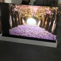 3D trasparente pellicola della proiezione posteriore, 1.524m di larghezza, 30m di lunghezza, sei colori, bianco, chiaro, grigio, grigio scuro, nero, specchio