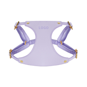 Directo de fábrica, conjunto de correa de arnés de cuero de alta calidad para mascotas, correa de pecho acolchada para perros pequeños y medianos, Collar de perro de moda para gatos - Product Image 1