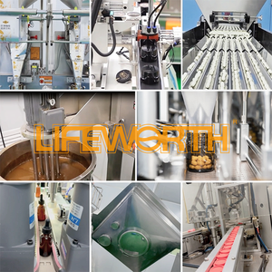 Lifth טבעוני ידידותי לסביבה מיובש אצות ים בר עיכול בר תומך בריאות עיכול - Product Image 6