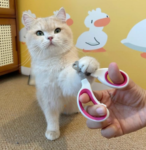 הסיטונאי חיית מחמד קטנה מספריים כלב חותך מסמר קליפרס - Product Image 4