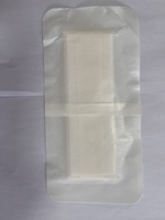 Pansement auto-adhésif pour cicatrices médicales, soin des plaies, 100 x 60 mm, 100 x 200 mm