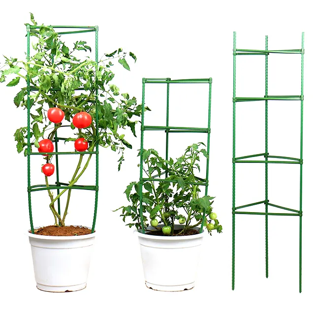 Hot Sale Plant Support Tomaten garten käfige Gemüse gitter pfähle