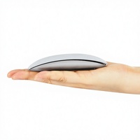 Souris optique sans fil mini 2,4 GHz USB, tactile, ergonomique, ultra-mince, pour droitier, longue durée de vie de la batterie, pour PC, tablette, multi-OS