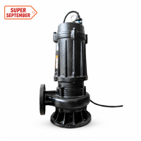 Pompe à eaux usées submersible anti-colmatage, corps en fonte, système de découpe résistant à l'usure, certifiée CE, personnalisable