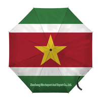 Parapluie pliant avec drapeau de Trinité-et-Tobago, ouverture et fermeture automatiques, parapluie compact, portable, grand format, pour la protection contre la pluie, résistant au vent