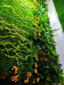 कृत्रिम हरी दीवार कृत्रिम बॉक्वुड हेज फॉक्स पौधे घास की दीवार - Product Image 5